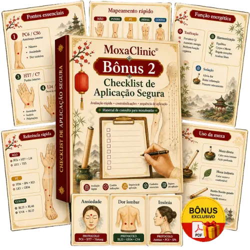 Bônus 2 - Checklist de Aplicação Segura